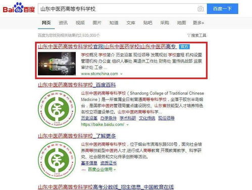 山东中医药高专线上招考咨询服务，专业导航助您梦想成真