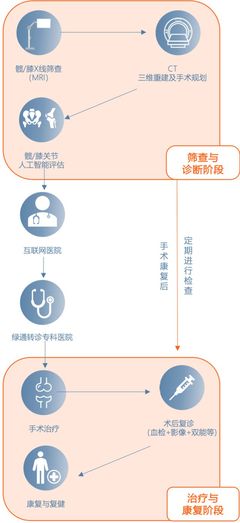 骨健康 AI一目了然 科技与教育并驱，健康未来零距离